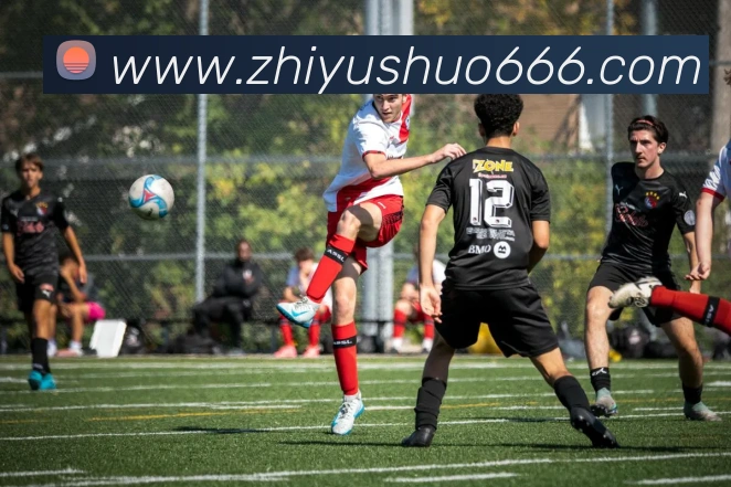 开云kaiyun网页版APP 体育赛事宣传图